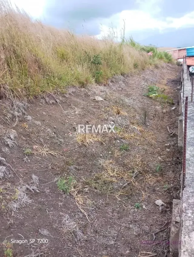 VENTA DE TERRENO EN VELANDRIA CAPACHO - 4