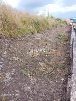 View 4