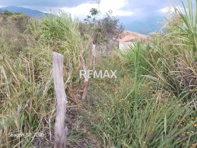 VENTA DE TERRENO EN VELANDRIA CAPACHO - 5