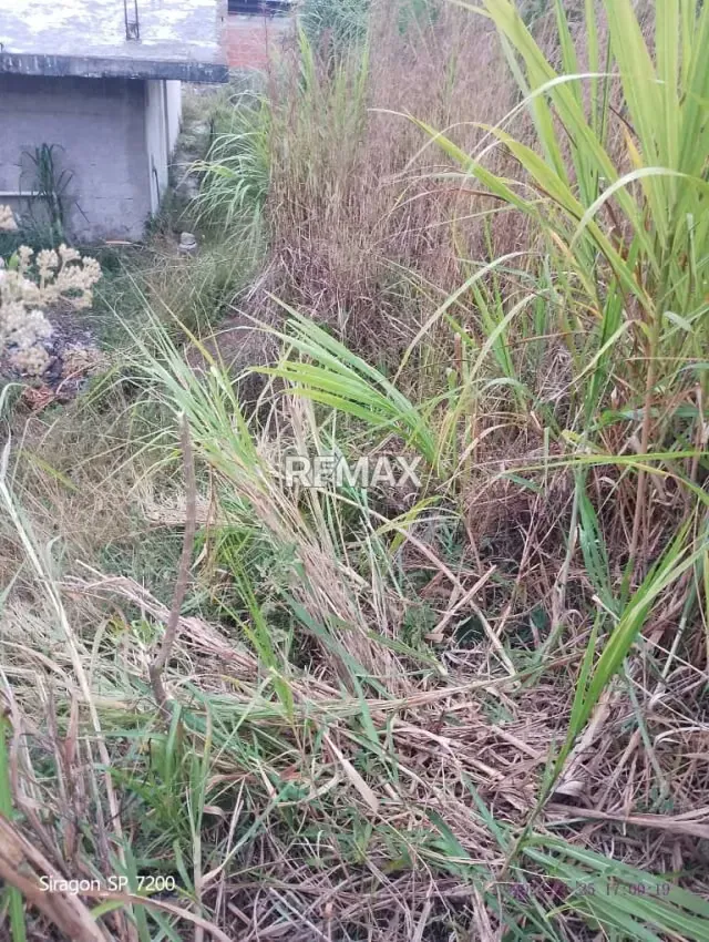 VENTA DE TERRENO EN VELANDRIA CAPACHO - 6