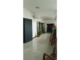 Vista 1