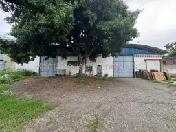 Vista 4