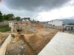 Vista 19