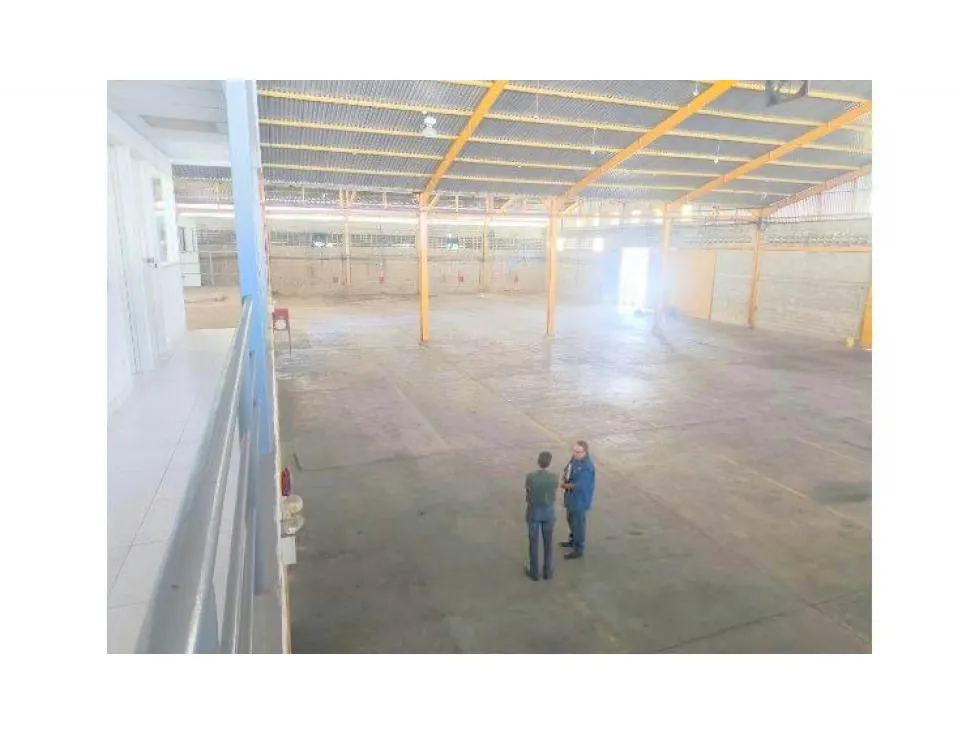 Alquilo galpón 2500m2 El Ingenio 3522 - 6