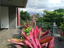 Vista 11