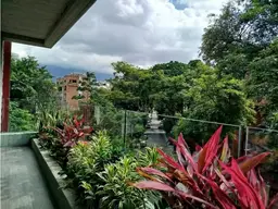 Vista 14