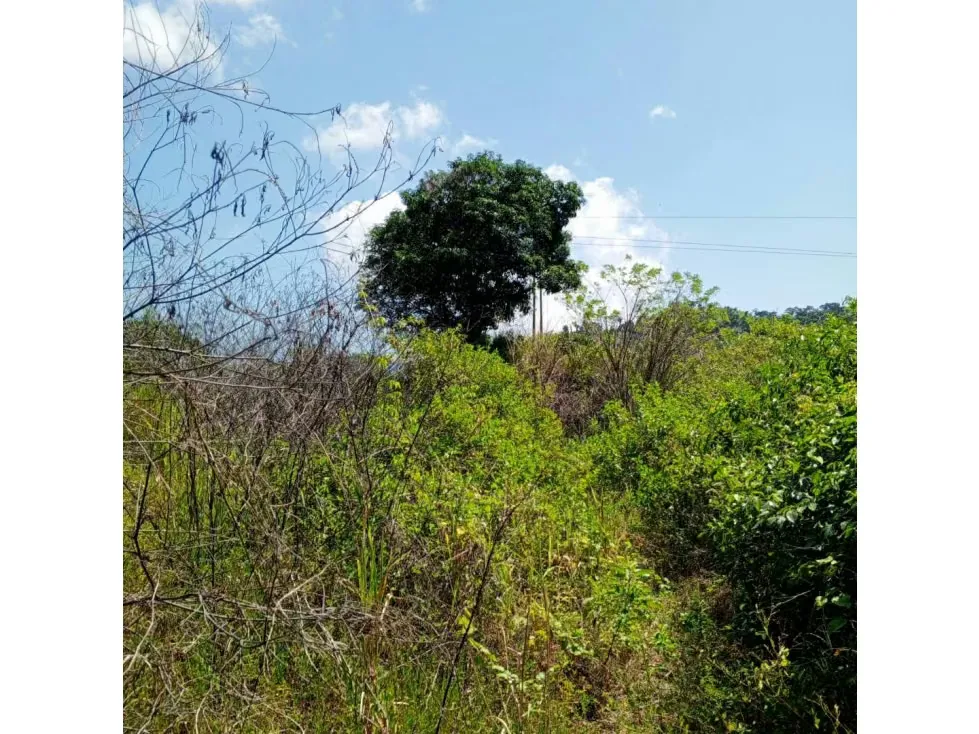 Terreno en venta - La Guaira, Chuspa - 3