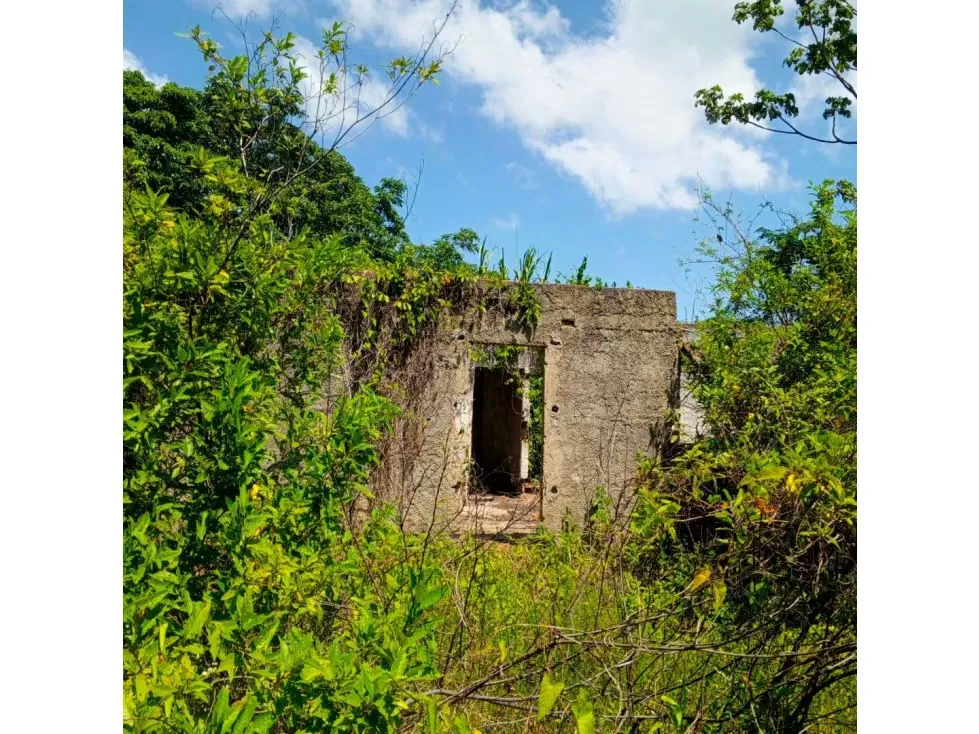 Terreno en venta - La Guaira, Chuspa - 5