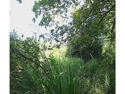 View 10