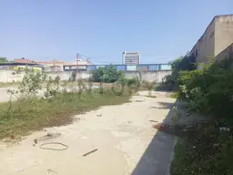 Vista 6