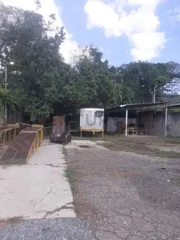 View 25