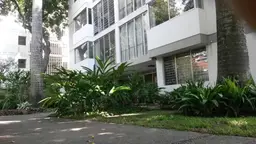 Vista 1