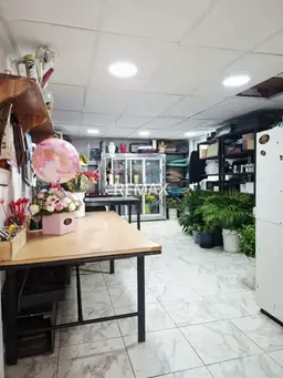 Vista 14
