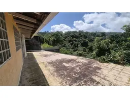 Vista 26