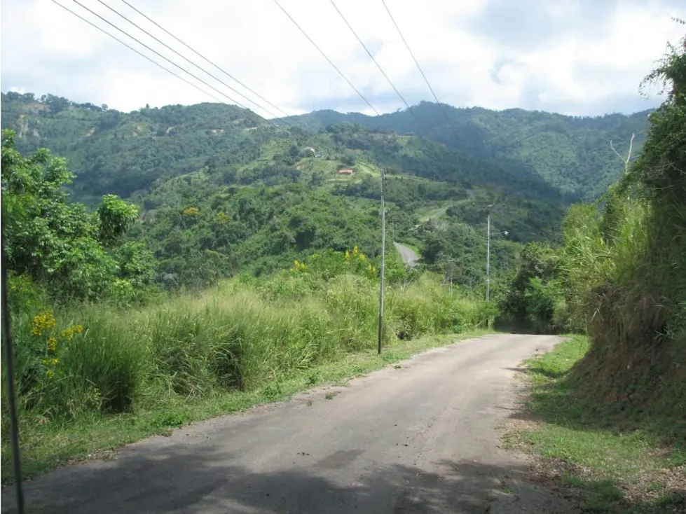 Vendo terreno 450000m2 Guarenas - 2
