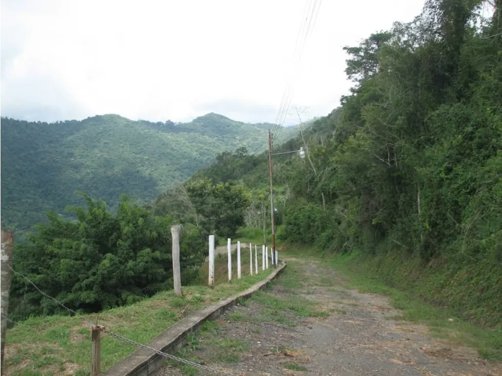 Vendo terreno 450000m2 Guarenas - 3