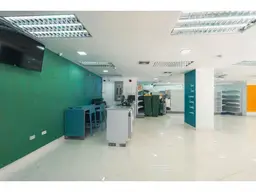 Vista 4