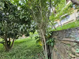 View 42