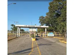 Vista 1