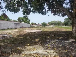 Vista 11