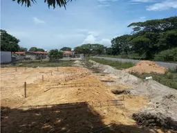 Vista 15