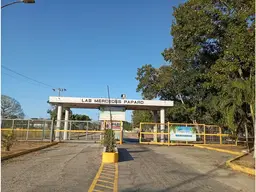 Vista 57