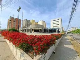 Vista 2