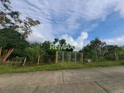 Vista 1