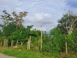 Vista 4
