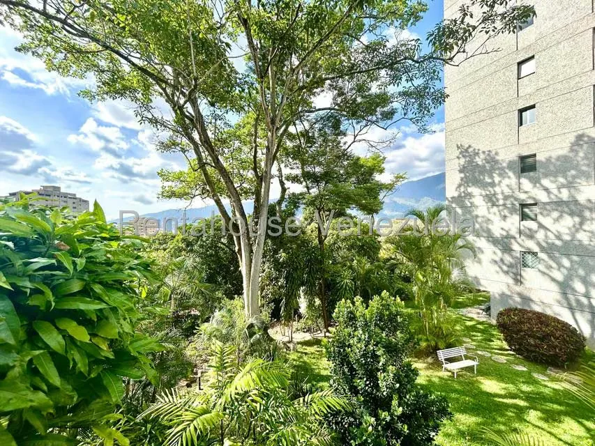 Apartamento (1 Nivel) en Alquiler en Colinas de Bello Monte, Distrito Metropolitano - 26