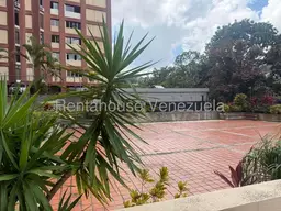 Vista 31
