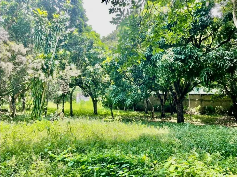 Se vende terreno 6.570m2 Los Chorros