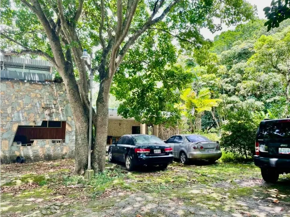 Se vende terreno 6.570m2 Los Chorros - 12