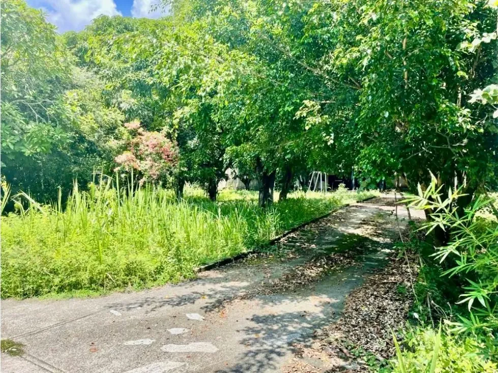 Se vende terreno 6.570m2 Los Chorros - 14