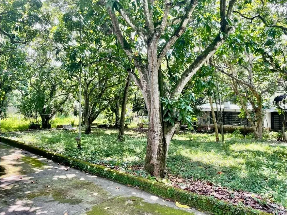 Se vende terreno 6.570m2 Los Chorros - 7