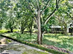 Vista 7