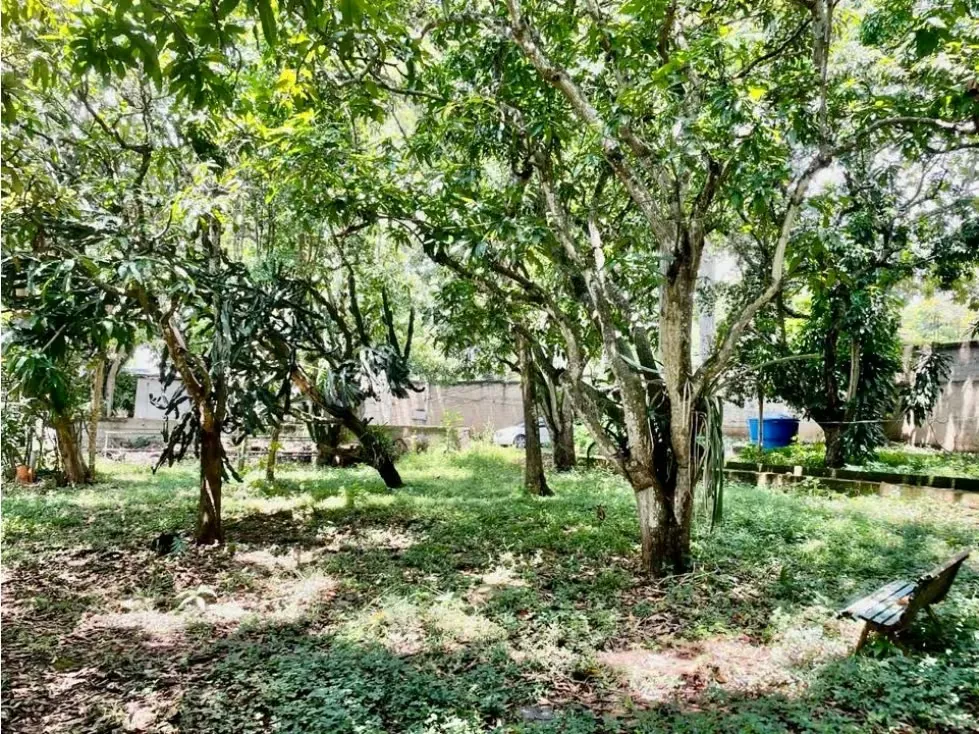 Se vende terreno 6.570m2 Los Chorros - 8
