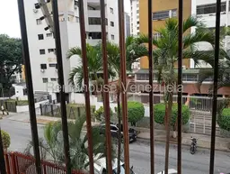 Vista 15