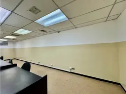 Vista 15