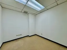 Vista 16
