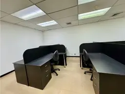 Vista 5