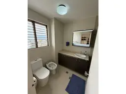 Vista 11