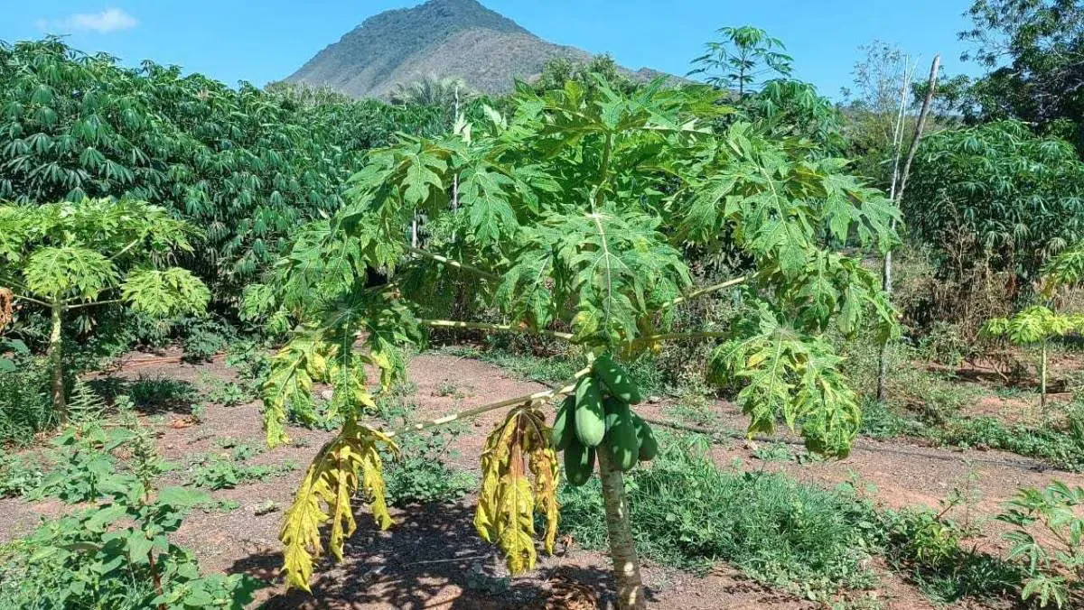 Terreno en excelente zona turística Guacuco - 14