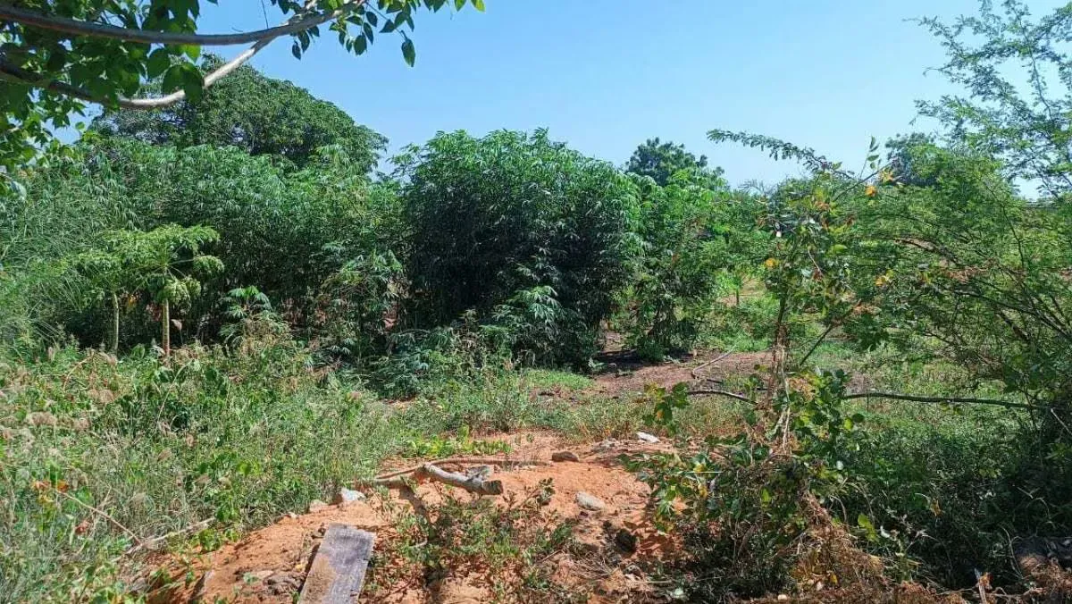 Terreno en excelente zona turística Guacuco - 17