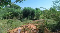 View 17