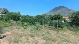 View 6