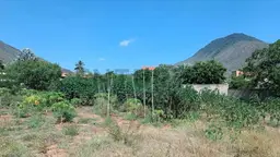 View 10