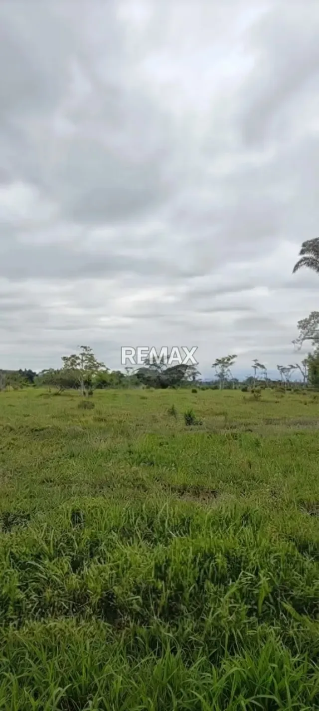 Finca en Tubo Rojo - 46 Hectáreas Ubicación: Sector Tubo Rojo, Asentamiento Campesino Uribante Arauca, - 2