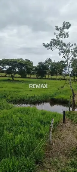 Vista 4