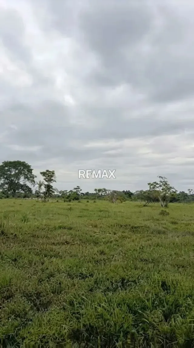 Finca en Tubo Rojo - 46 Hectáreas Ubicación: Sector Tubo Rojo, Asentamiento Campesino Uribante Arauca, - 5